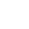 icon_item